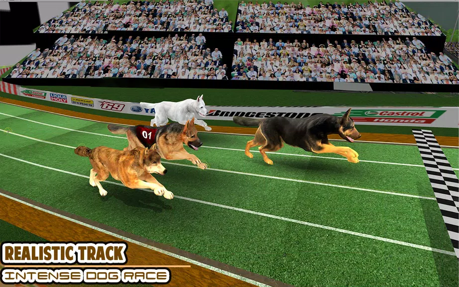 Dog racing games - dog game 3d Screenshot1