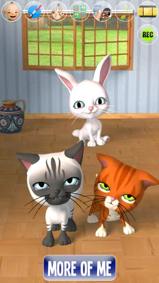 Talking Stars Cat & Dog & Pets Screenshot3