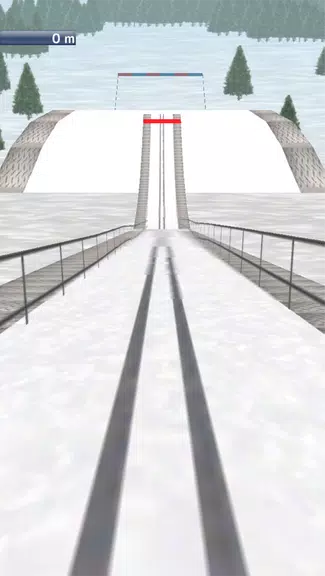 Ski Jump 3D Screenshot4