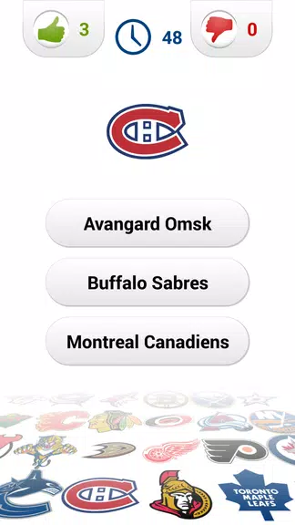 Logo Ice Hockey Quiz Screenshot2