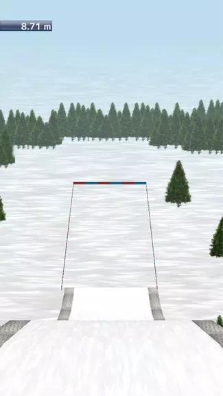 Ski Jump 3D Screenshot2