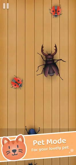 Bug Smasher Screenshot4