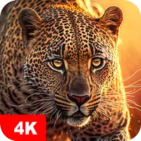 Animal Wallpapers 4K APK