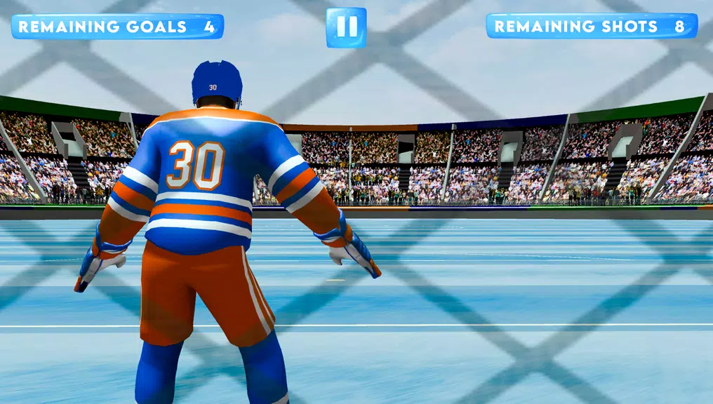 Ice Hockey Classic 3D Screenshot2