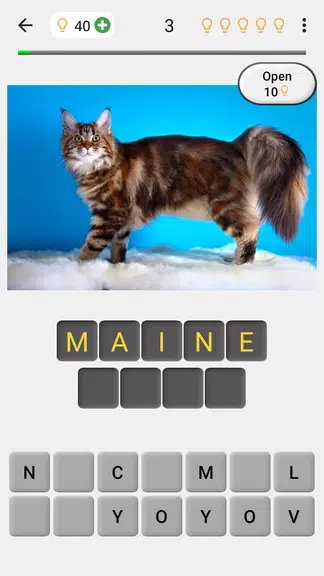 Cats Quiz Guess Popular Breeds Screenshot1