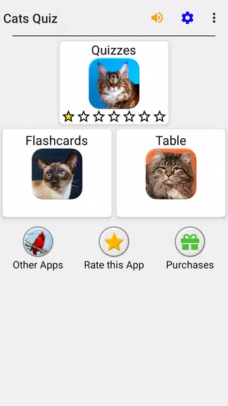 Cats Quiz Guess Popular Breeds Screenshot3