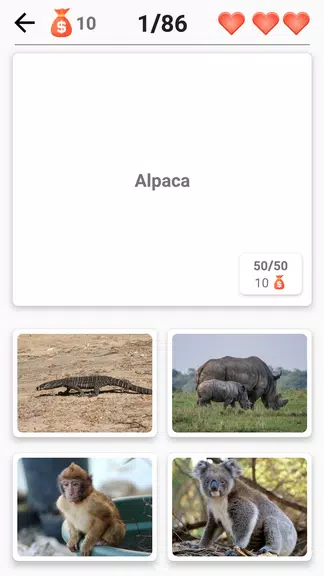 Animals - Quiz about Mammals! Screenshot4