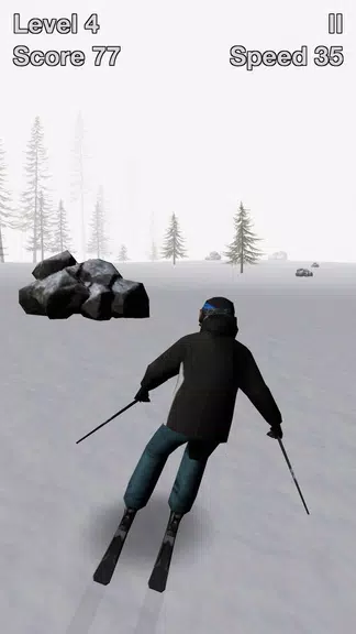 Alpine Ski III Screenshot2