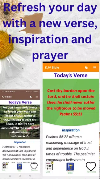 Holy Bible KJV - Audio + Verse Screenshot2