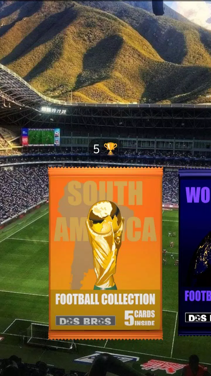 Football Collection 2025 Screenshot4