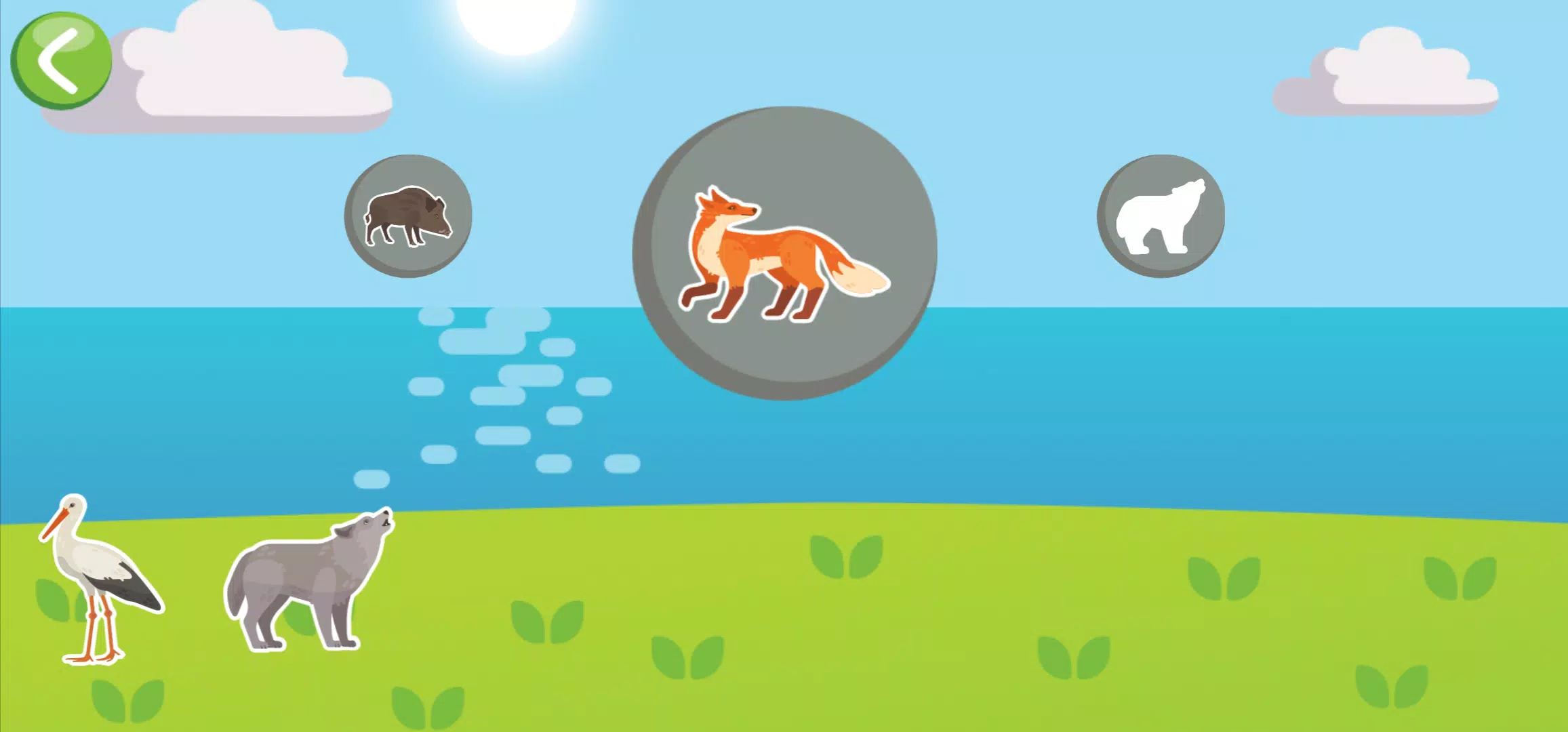 Geo Kids Screenshot8