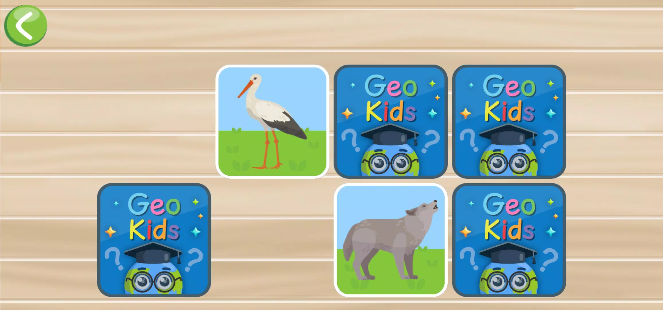 Geo Kids Screenshot2
