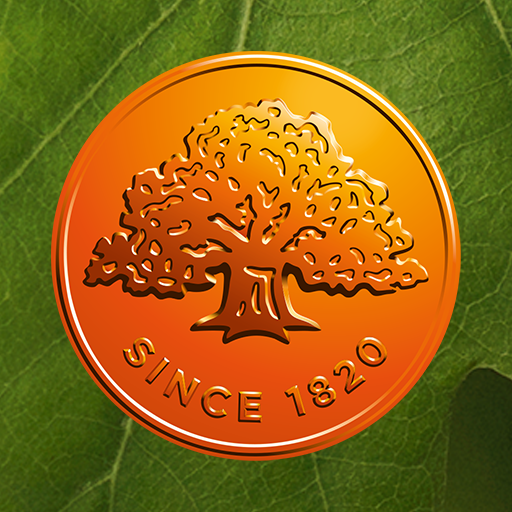 Swedbank private APK