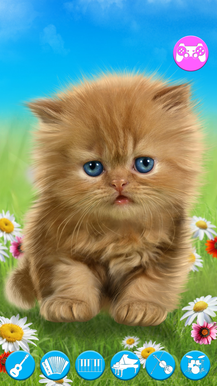 Talking baby cat. Talking game Screenshot1