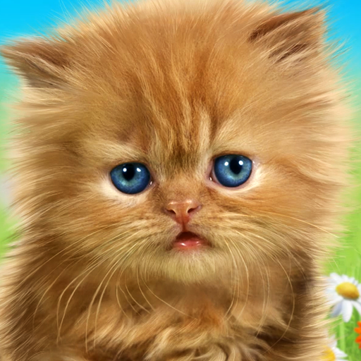 Talking baby cat. Talking game APK