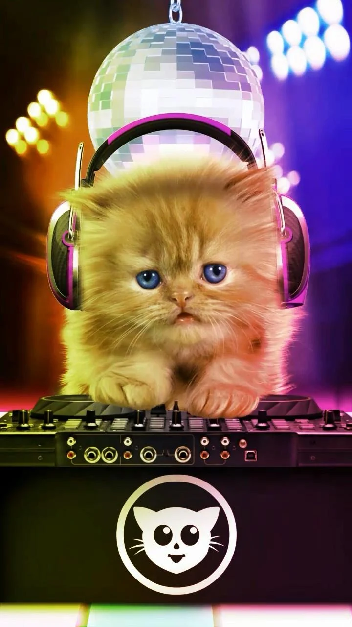 Talking baby cat. Talking game Screenshot2