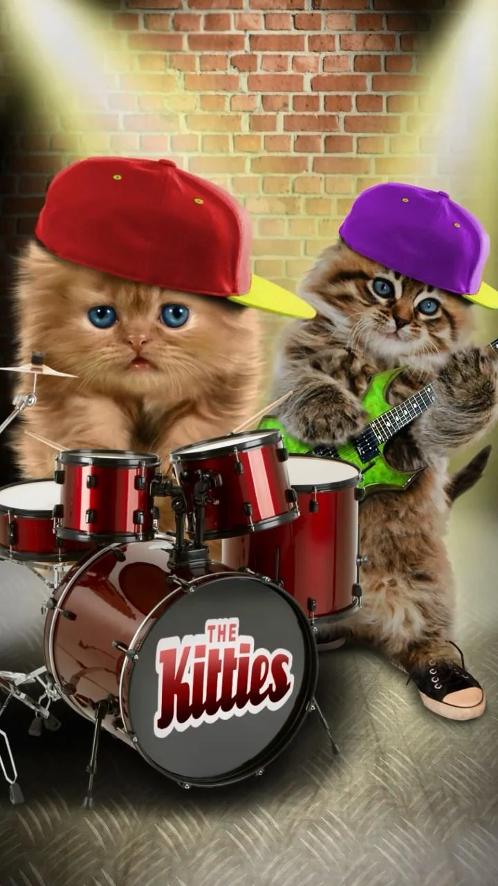 Talking baby cat. Talking game Screenshot8