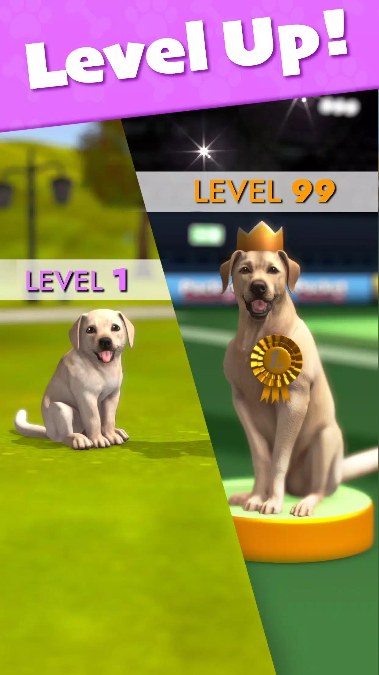 Pocket Paws Screenshot3