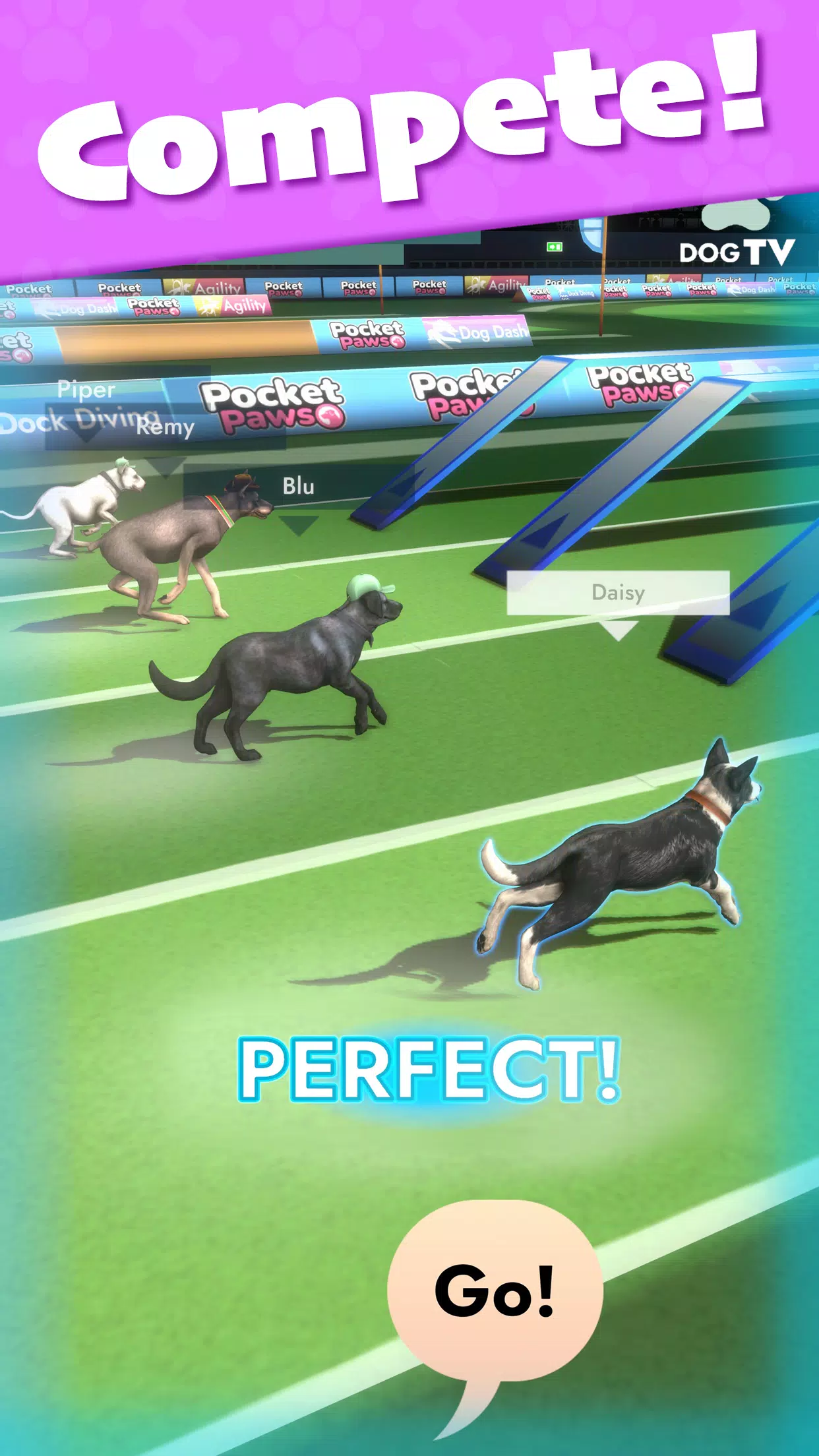 Pocket Paws Screenshot4