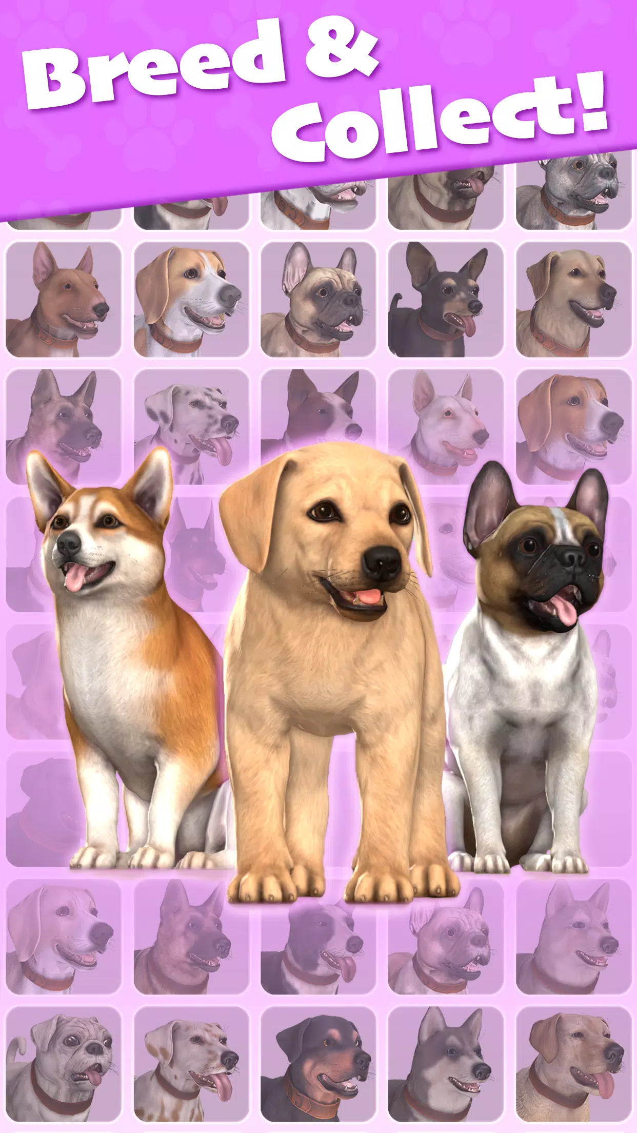 Pocket Paws Screenshot8