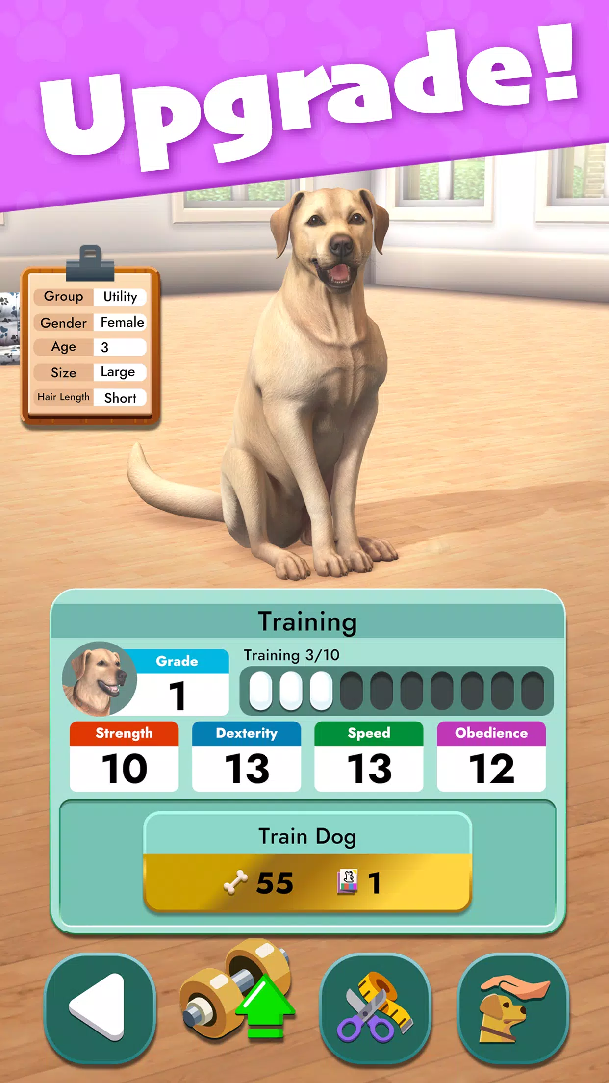 Pocket Paws Screenshot5