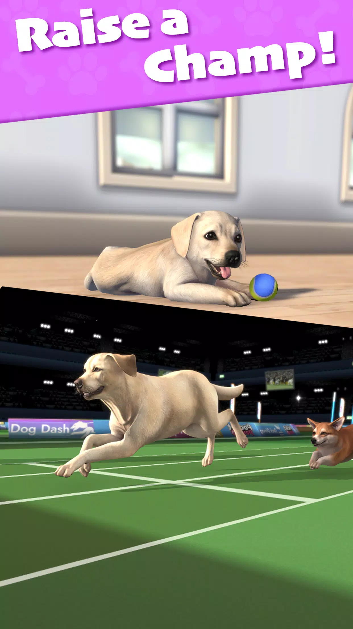 Pocket Paws Screenshot2