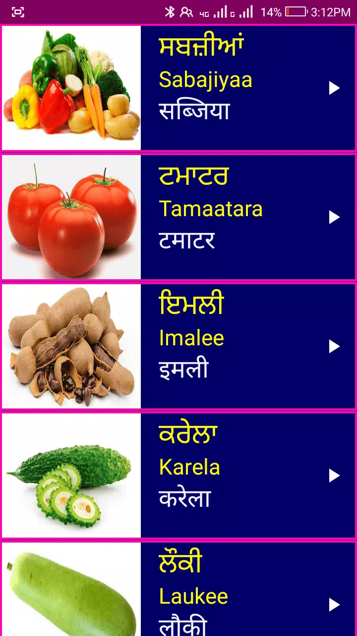 Learn Punjabi From Hindi Screenshot1