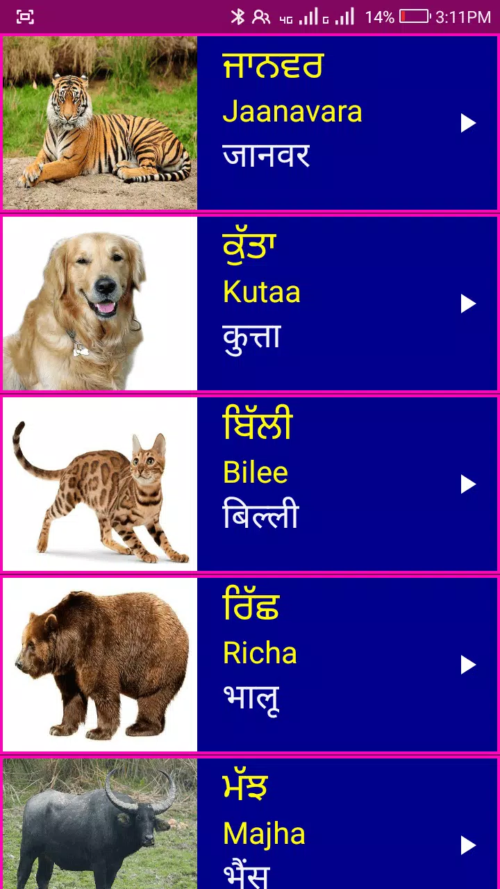 Learn Punjabi From Hindi Screenshot2