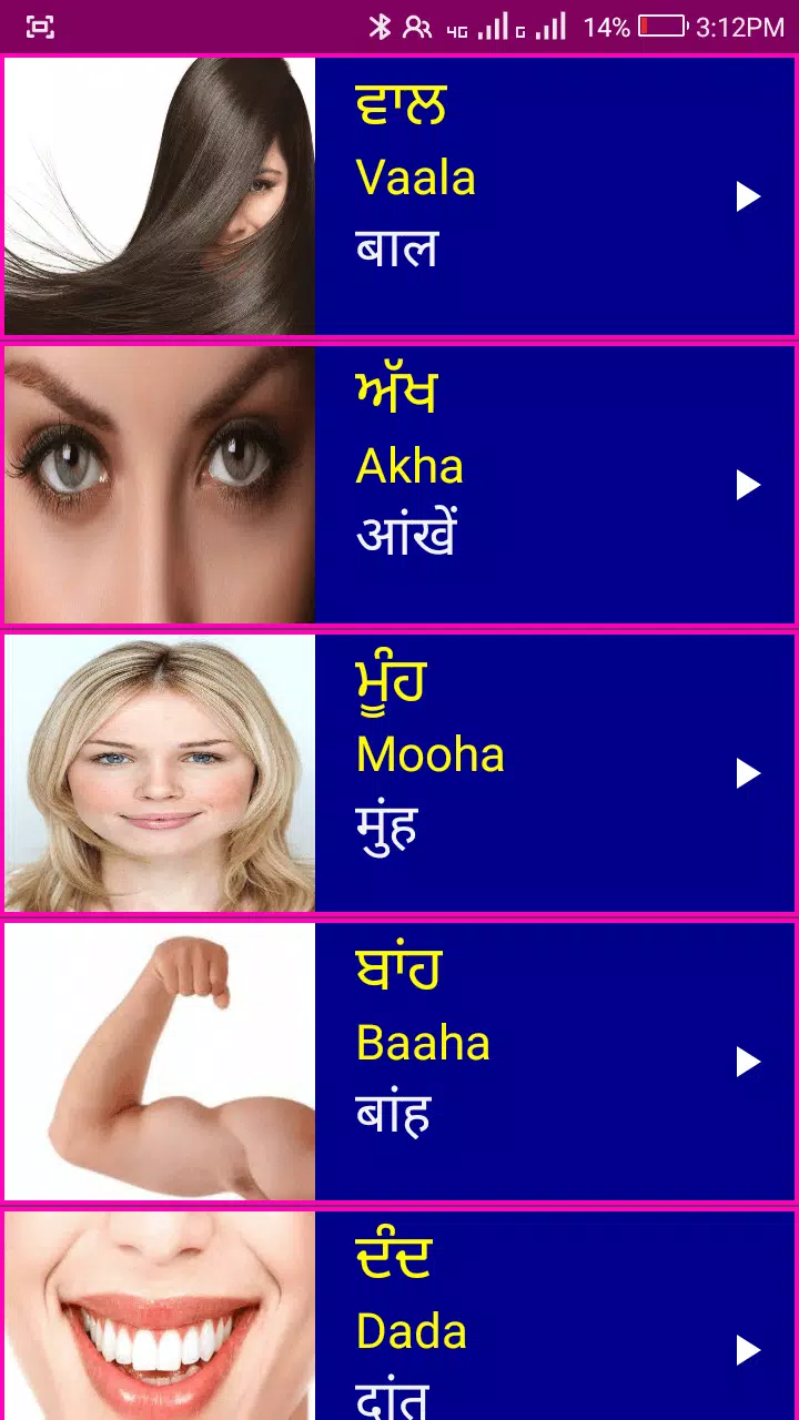 Learn Punjabi From Hindi Screenshot6