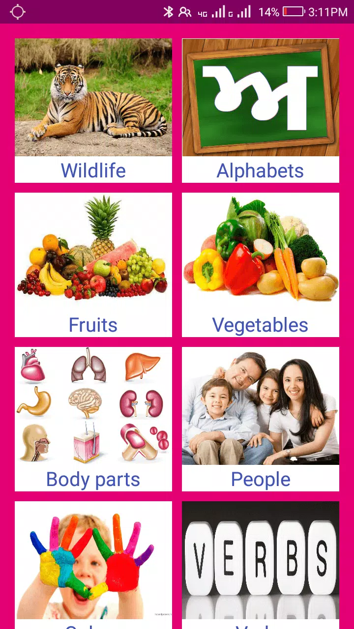 Learn Punjabi From Hindi Screenshot8