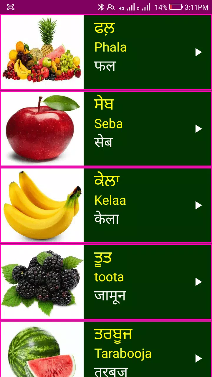 Learn Punjabi From Hindi Screenshot3