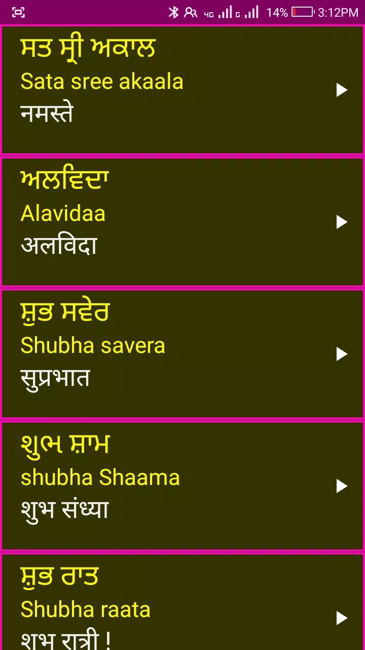 Learn Punjabi From Hindi Screenshot4