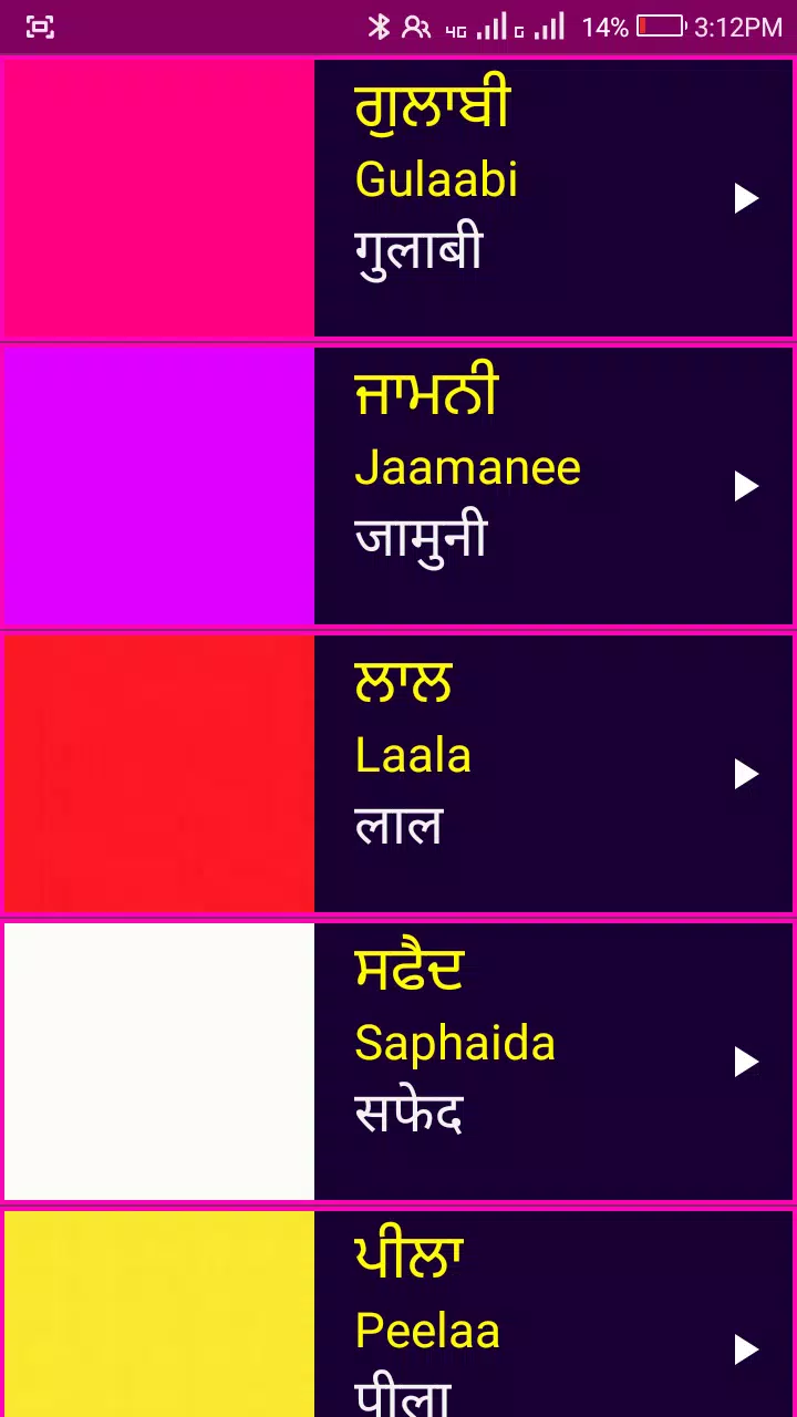 Learn Punjabi From Hindi Screenshot7