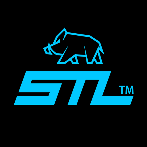 에스티엘 STL APK