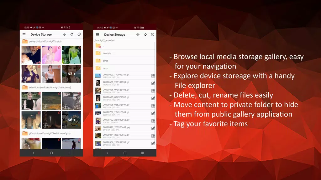 GIF Player - OmniGIF Screenshot2