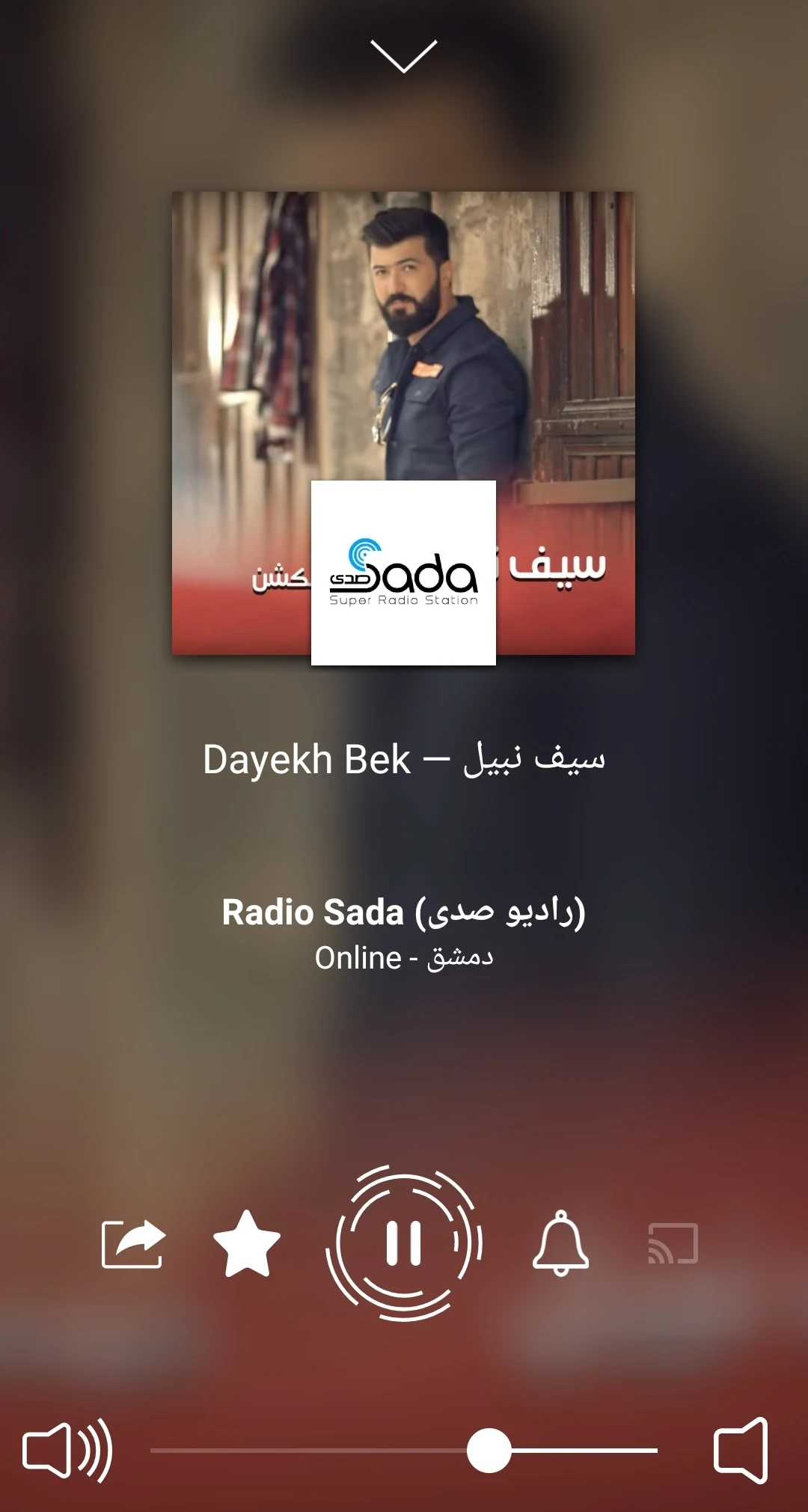 Radio Arabic Screenshot4