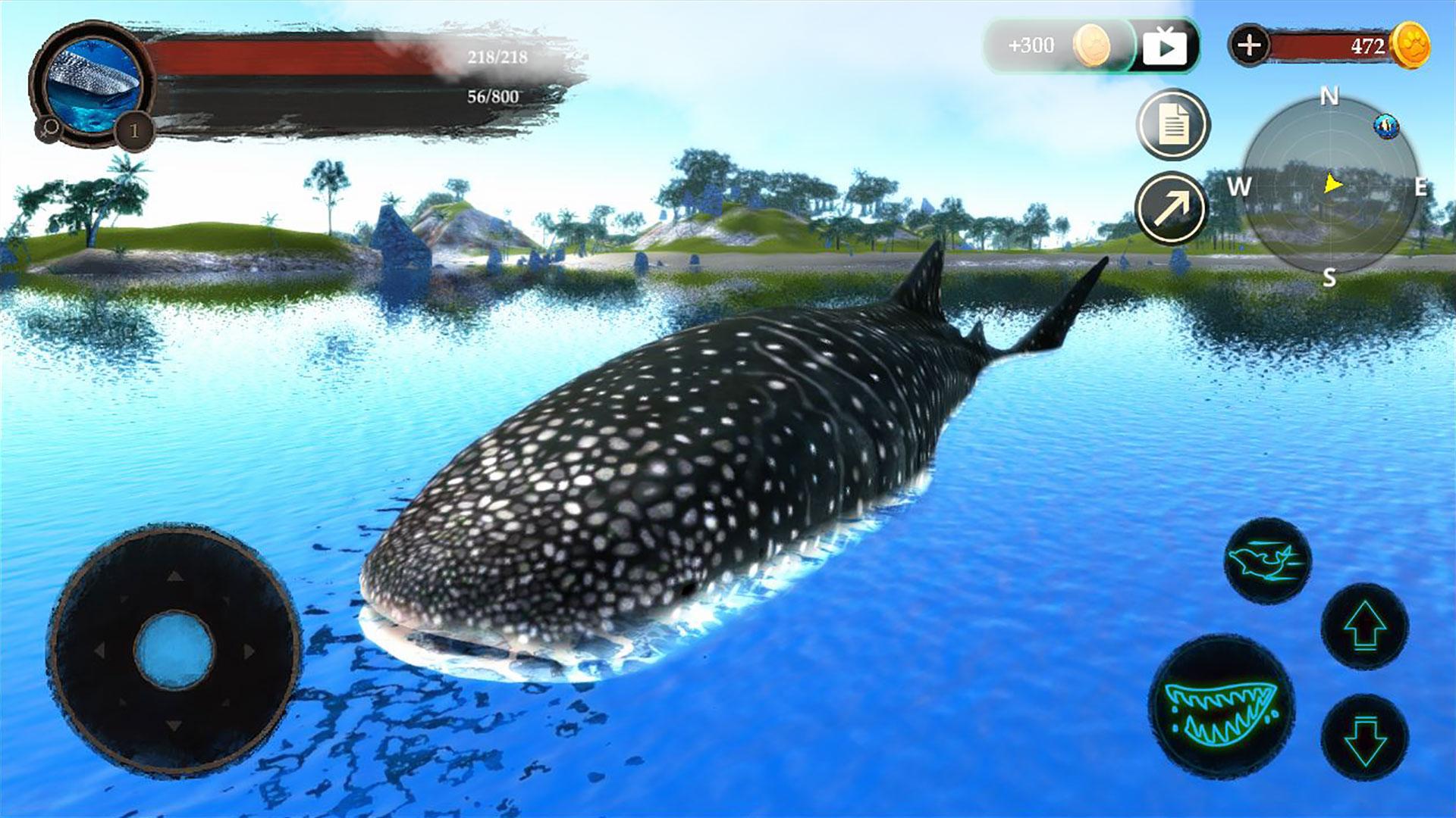 The Whale Shark Screenshot8
