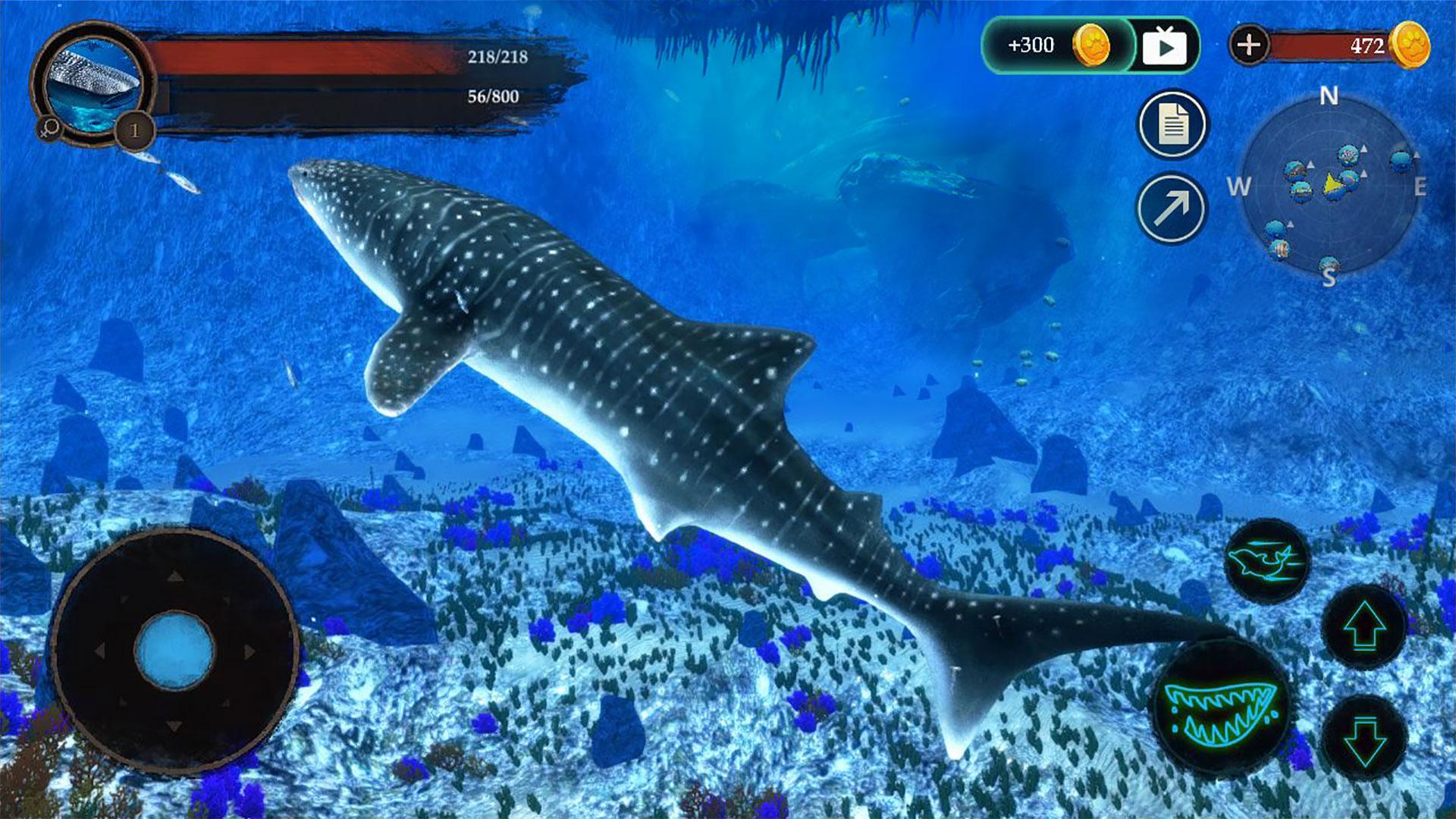 The Whale Shark Screenshot5