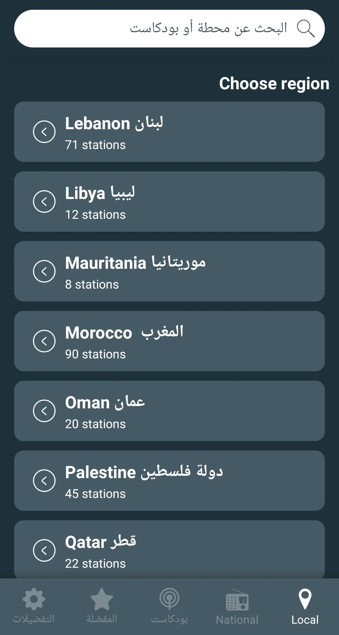Radio Arabic Screenshot7