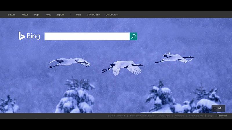 CastReceiver Screenshot10