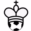 Chess Football basic APK