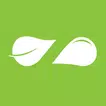 Zaatar w Zeit APK