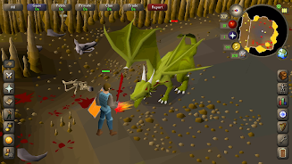 Old School RuneScape Screenshot20