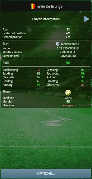 True Football 3 Screenshot4