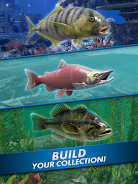 Go Fishing! Fish Game Screenshot20