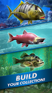 Go Fishing! Fish Game Screenshot3