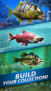 Go Fishing! Fish Game Screenshot4
