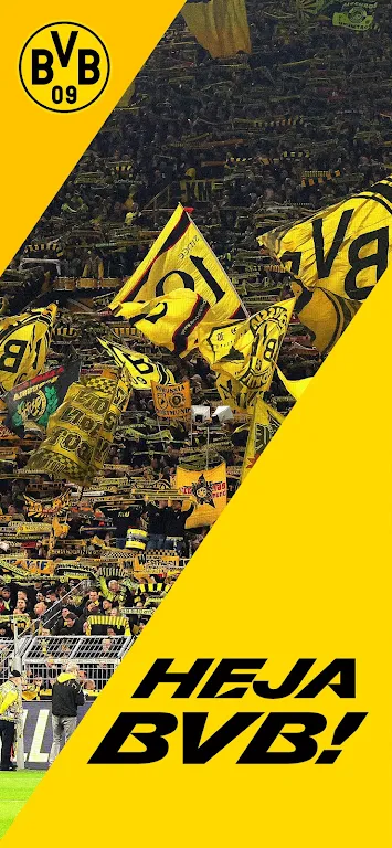 BVB Screenshot1