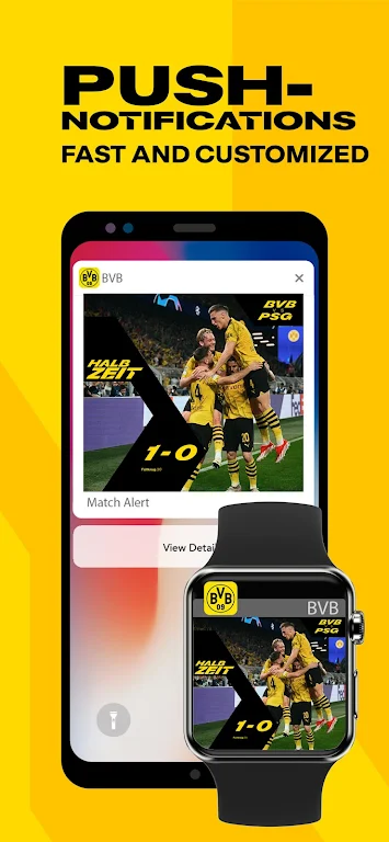 BVB Screenshot3
