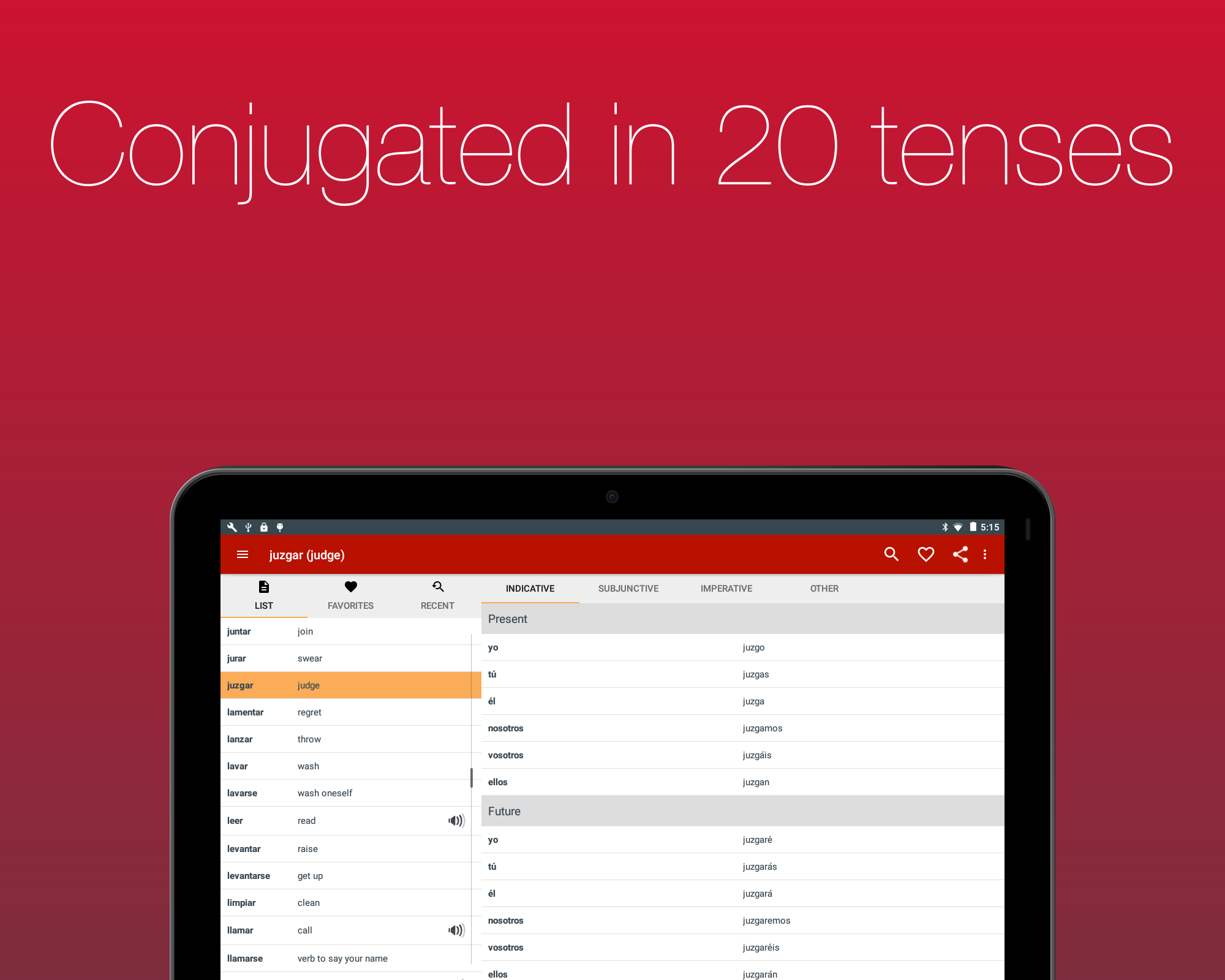 Spanish Verb Conjugator Screenshot15
